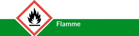 Pictogram Flame